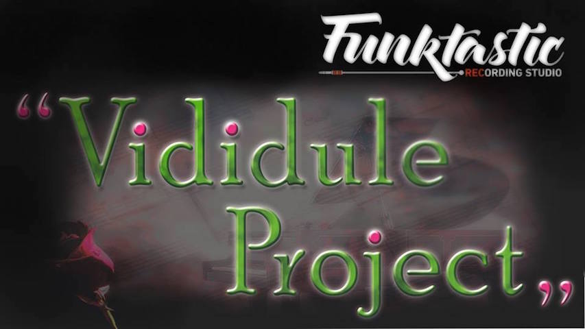 Vididule Project
